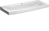 Раковина Geberit Xeno2 120x48 белая