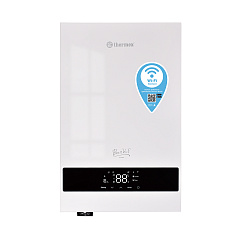 Электрический котёл отопления настенный Thermex Boss 12 Wi-Fi одноконтурный (White)