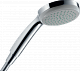 Душевая лейка Hansgrohe Croma 100 28580000