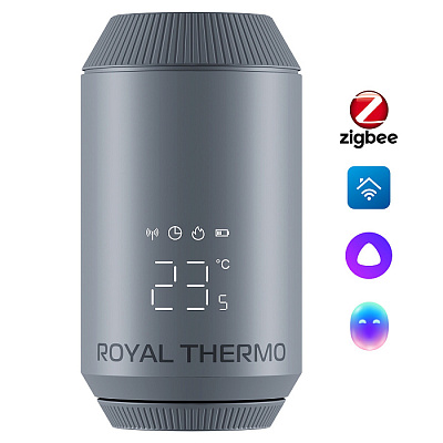 Термостат электронный Royal Thermo SMART HEAT 2.0, 5-30, М30х1,5 серебро (RATESH23015SS)