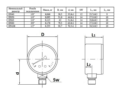 Манометр Watts F+R250 100/6, радиальный