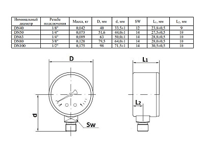 Манометр Watts F+R200 63/16, радиальный