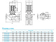 Циркуляционный насос CNP TD100-48G/2SWHTJ