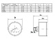 Манометр Watts F+R150 80/10, аксиальный