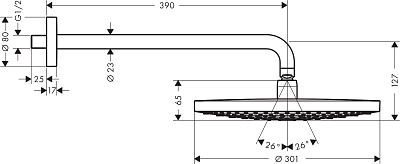 Верхний душ Hansgrohe Raindance Select S 300 27378400